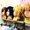 ASSIST WIG: A Cosplay Specialty Store in Akihabara that Sells Wigs, Shoes, and More! 7
