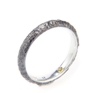 Evangelion Silver Black Moon Ring JP 6