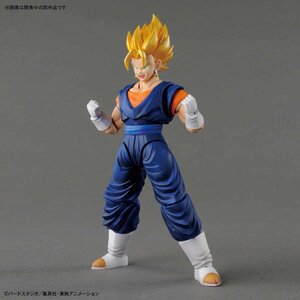 Figure-rise Standard Dragon Ball Z Super Saiyan Vegito