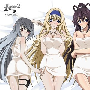 Infinite Stratos 2 Heroines Big Towel
