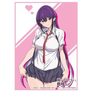 Bushiroad Sleeve Collection High-Grade Vol. 4836 Please Put Them On, Takamine-san Takane Takamine