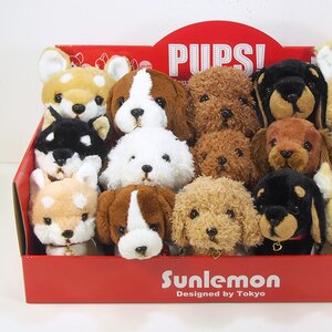PUPS! Set w/ Display Box
