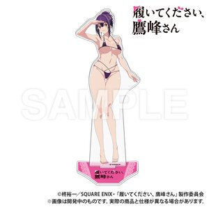 Please Put Them On, Takamine-san Extra Large Acrylic Stand Swimsuit Ver. [Pre-order]