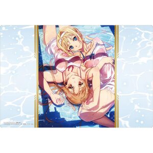 Bushiroad Rubber Mat Collection V2 Vol. 1045 Dengeki Bunko Sword Art Online Asuna & Alice