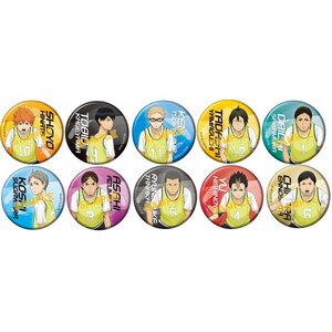 Haikyu!! Karasuno High vs Shiratorizawa Academy Character Pin Badge Collection Box Set