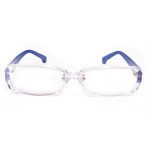 Toho Megane - Cirno Model