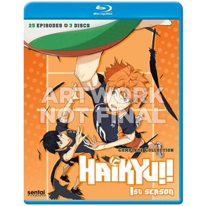 Haikyu!! Season 1 Complete Collection Blu-ray