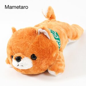 Mameshiba San Kyodai Deshi to Nesoberi Plushies (Big) Mametaro