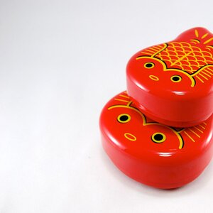 Multi-Sized Goldfish Bento Container Set