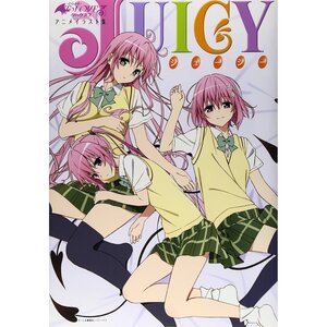 To Love-Ru Darkness Anime Illustration Book: Juicy