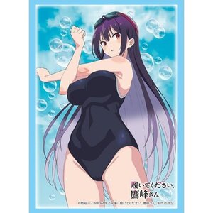 Bushiroad Sleeve Collection High-Grade Vol. 4838 Please Put Them On, Takamine-san Takane Takamine: Swimsuit Ver.