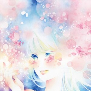 Sakura Exhibition hidzuki A Poster Amazing Spring Evening