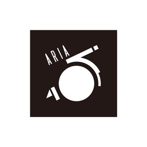 ARIA Wristband White