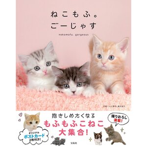 Nekomofu Gorgeous