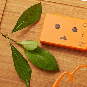 cheero Power Plus 10400mAh DANBOARD version [FLAVORS series] Pumpkin