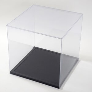 Plastic Model Case Limited Ex Cube 450