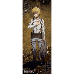 Attack on Titan Break of Dawn Life-Size Fabric Poster Collection Armin