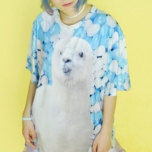 ACDC RAG Aplaca T-Shirt