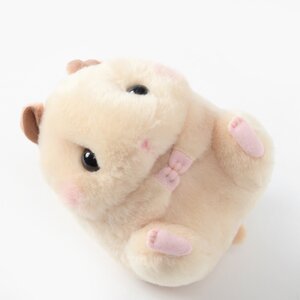 Coroham Coron no Otomodachi Hamster Plush Collection (Standard) Kin-chan