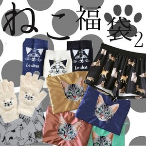 Cat Lucky Bag 2