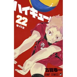 Haikyu!! Vol. 22