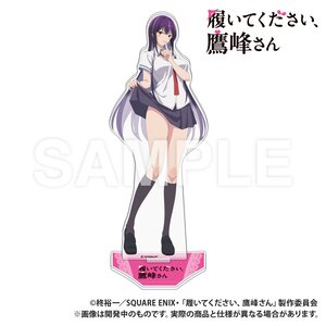 Please Put Them On, Takamine-san Extra Large Acrylic Stand School Uniform Ver. [Pre-order]