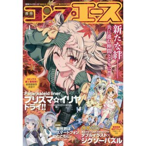 Monthly Comp Ace January 2017