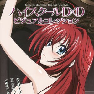 High School DxD Visual Collection
