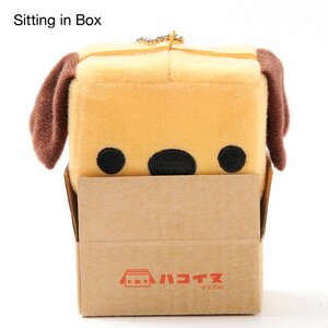 Hakoinu Plushie Charms Sitting in Box
