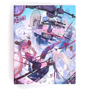 Shinkukan Dolls File