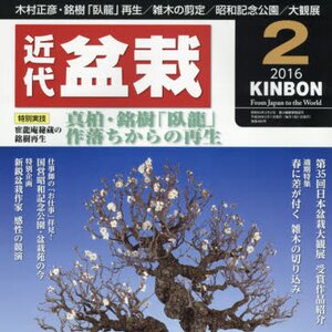 Kindai Bonsai Kinbon February 2016
