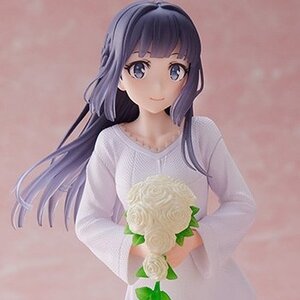 Coreful Figure Rascal Does Not Dream of Bunny Girl Senpai Shoko Makinohara