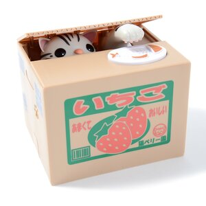 Itazura Bank American Shorthair