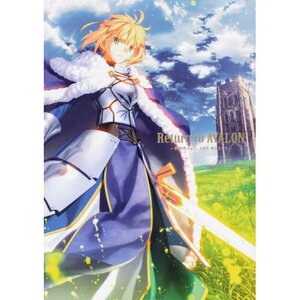 Return to Avalon: Takashi Takeuchi Fate Art Works