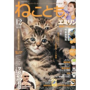 Neko Tomo December 2022