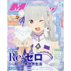 Megami Magazine January 2020