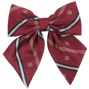 Teens Ever High School Uniform Printed Heraldic Ribbon Dark Red