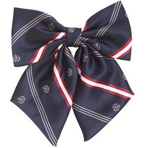 Teens Ever High School Uniform Printed Heraldic Ribbon Navy Blue x Dark Red