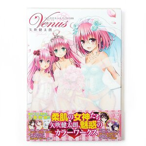 To Love-Ru: Darkness Artworks - Venus