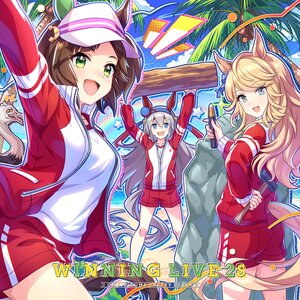 Uma Musume: Pretty Derby Winning Live 28