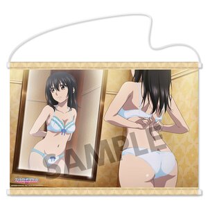 Strike the Blood Second OVA Yukina Himeragi Tapestry