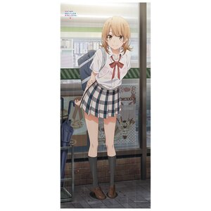 My Teen Romantic Comedy SNAFU Climax Big Tapestry Iroha Isshiki: Shelter from the Rain Ver. (Re-run)