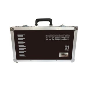 Hatsune Miku Collection Glasses Case