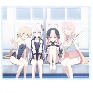 Blue Archive Canvas Art