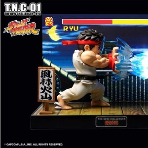 T.N.C-01 Street Fighter Ryu