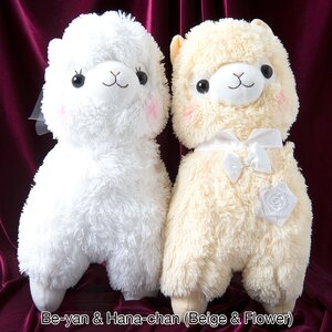 Bridal Alpacasso Plushie Sets (Big) Be-yan & Hana-chan (Beige & Flower)
