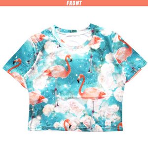 ACDC RAG Flamingo Crop Top