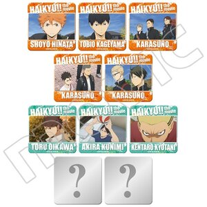 Haikyu!! the Movie: Talent and Sense Badge Collection Box Set