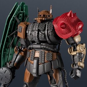 Gundam Universe Gundam ZakuⅡ (Unidentified Type) Solari