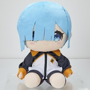 Re:Zero -Starting Life in Another World- Rem: Subaru-kun's Jersey Ver. Precious Big Plush